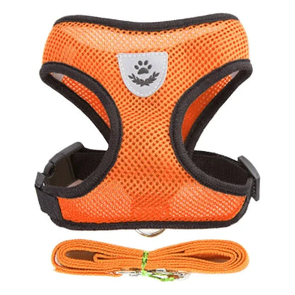 Dog Harness &amp; Leash Set