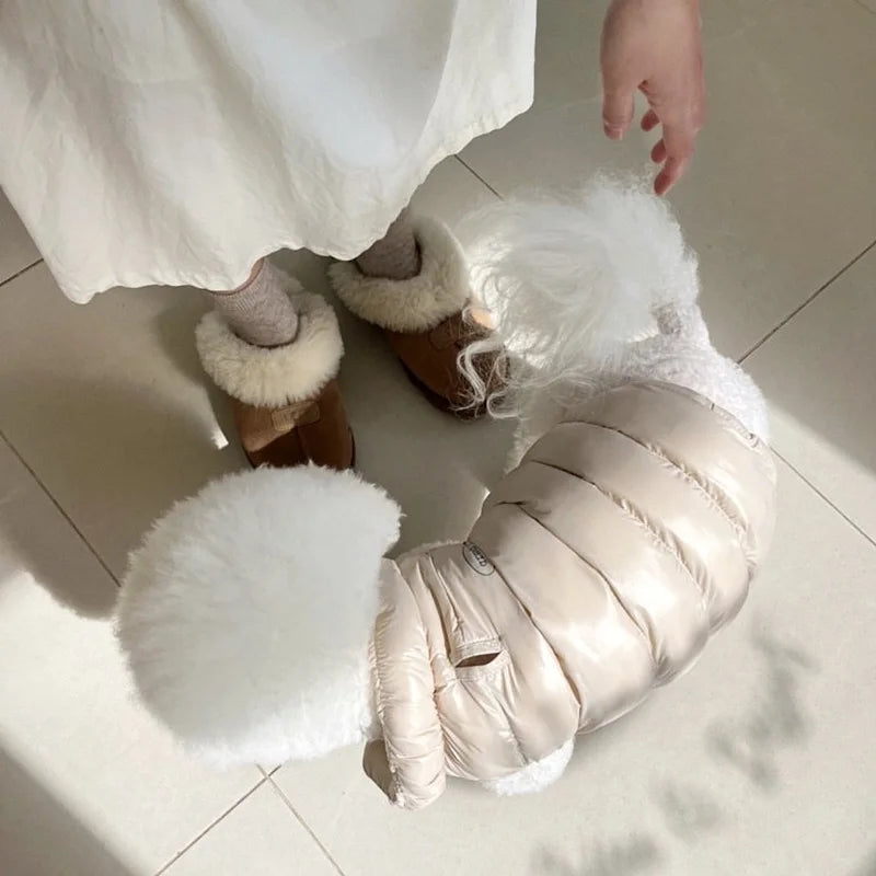 Lightweight Dog Jacket