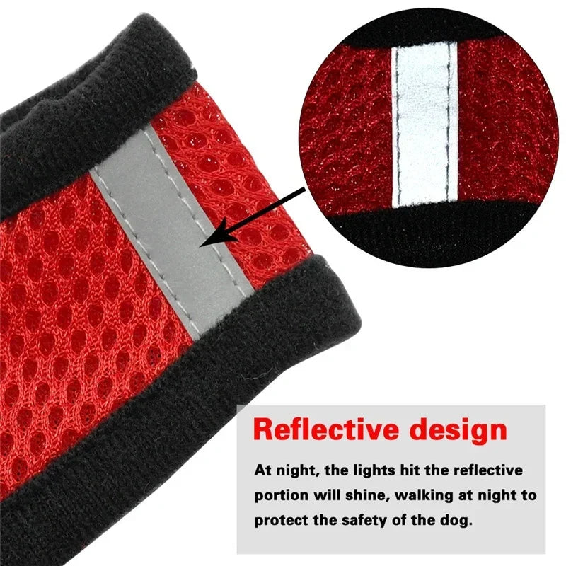 Dog Harness & Leash Set