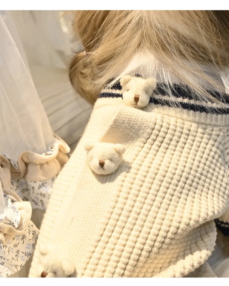 Pet Bear Sweater