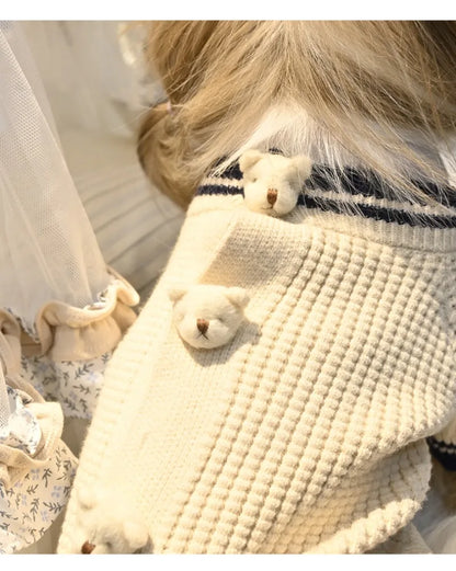 Pet Bear Sweater