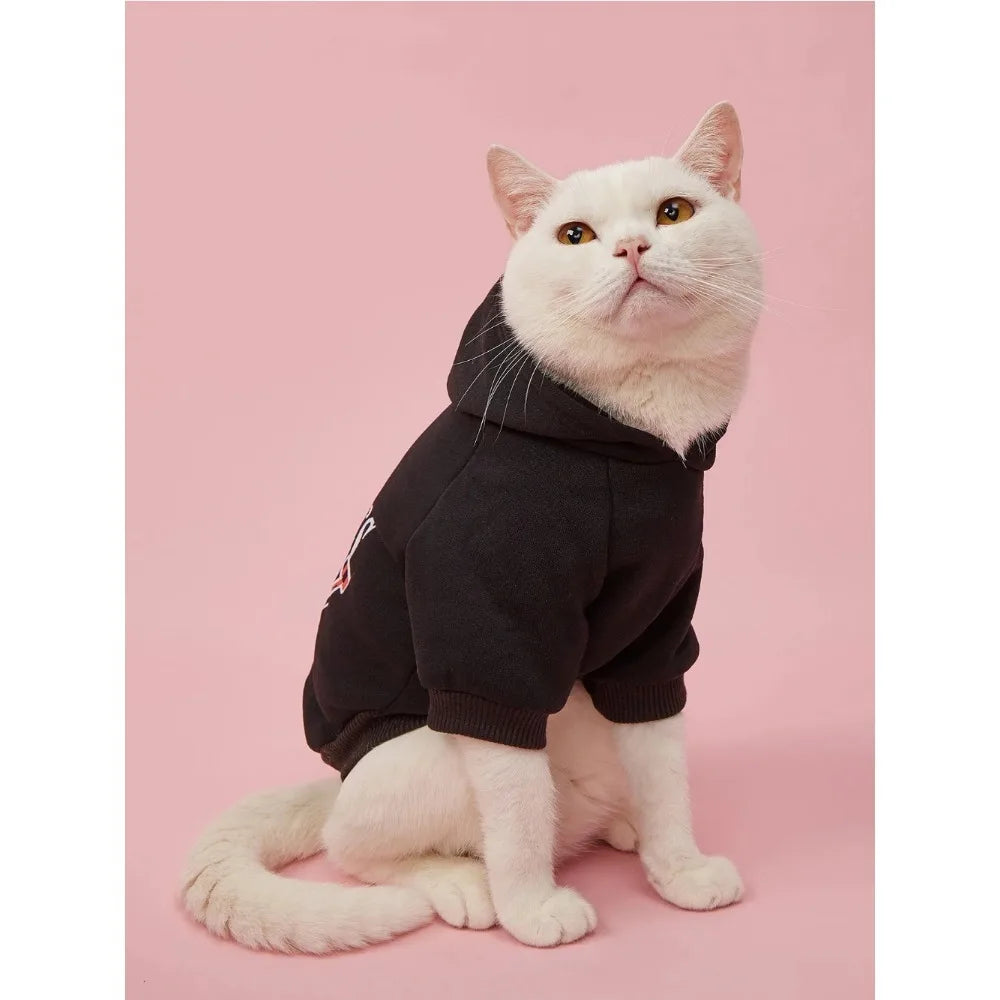Pet Hoodie Outfit