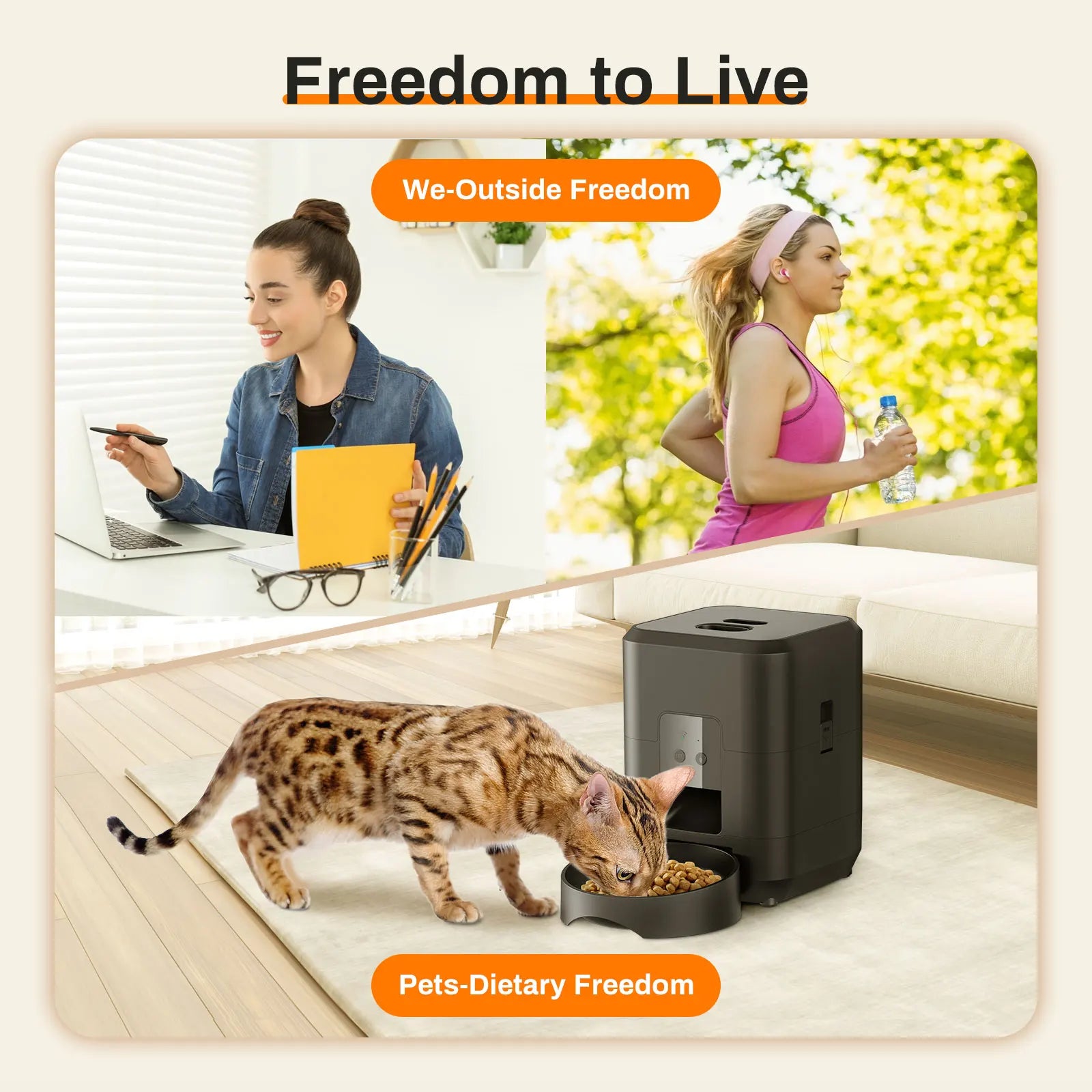 APP-Controlled Automatic Pet Feeder