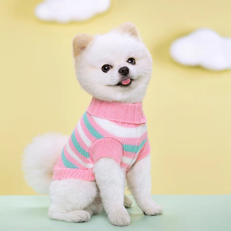 Dog Knitted Sweater