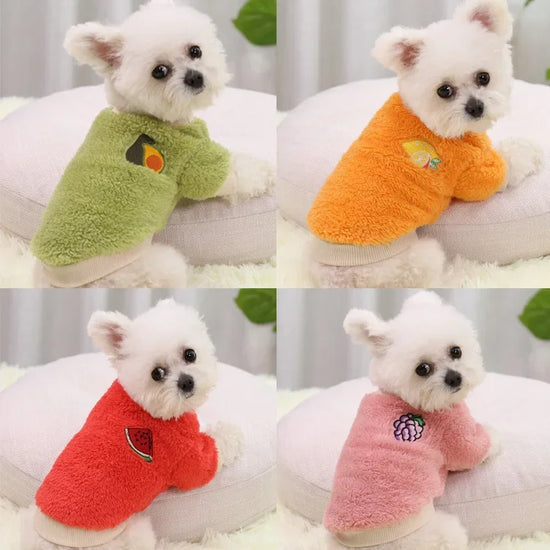 Warm Small Dog Clothing