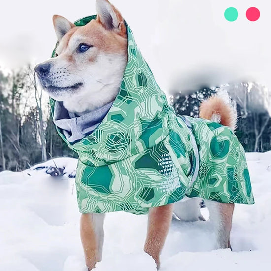 Dog Winter Outfit