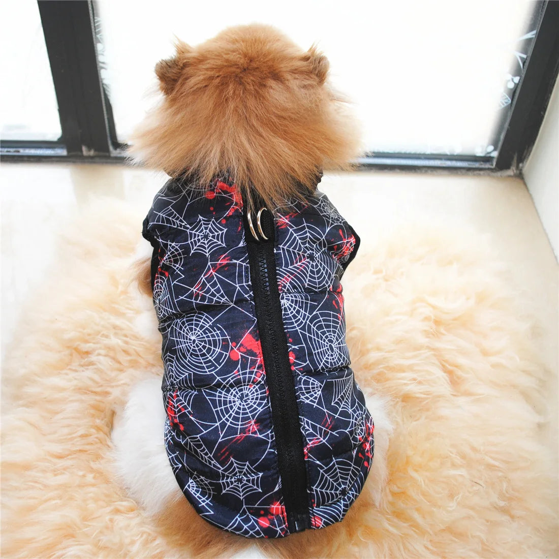 Warm Pet Outfit