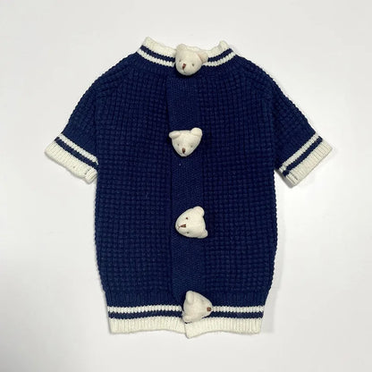 Pet Bear Sweater