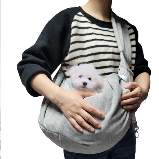 Dog Treat Training Waist & Crossbody Bag