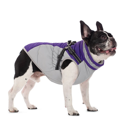 Dog Winter Coat with Harness