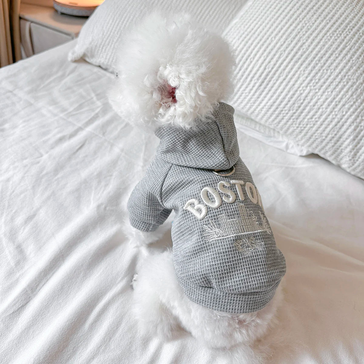 Cute Casual Pet Sweater