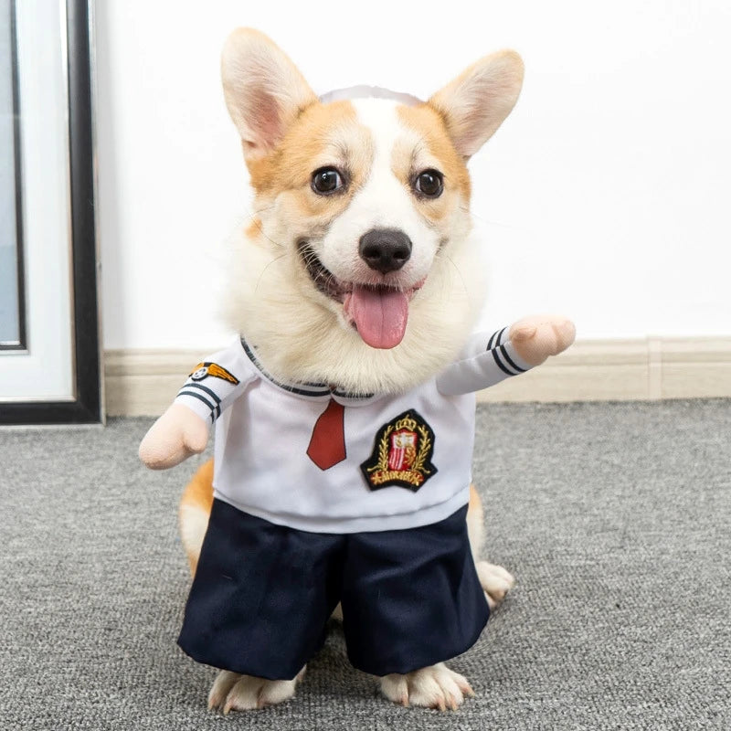Funny Halloween Dog Costume