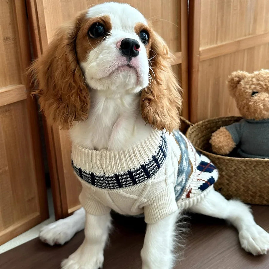 Cozy Turtleneck Pet Sweater