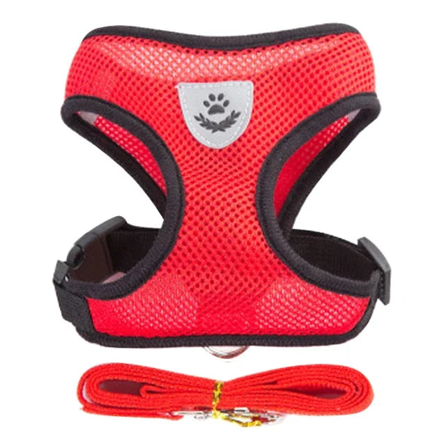 Dog Harness & Leash Set