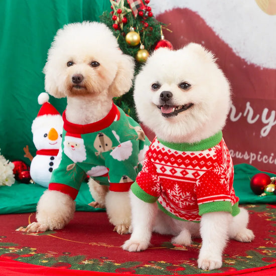 Pet Winter Sweater