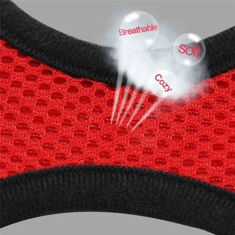 Dog Harness &amp; Leash Set