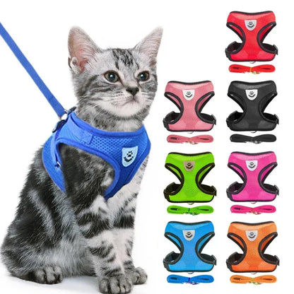 Dog Harness &amp; Leash Set