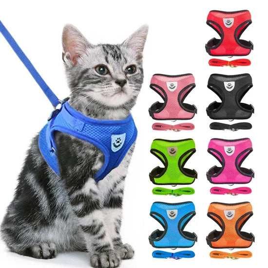 Dog Harness & Leash Set