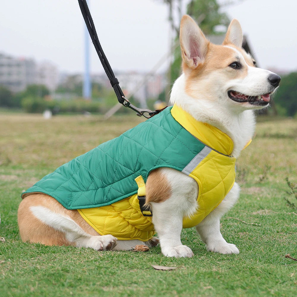 Winter Dog Vest Jacket