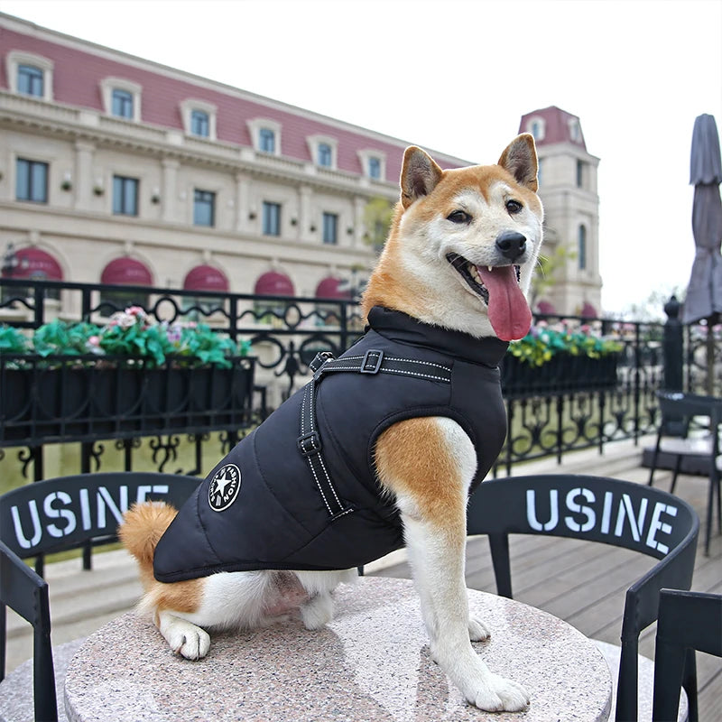 Warm Waterproof Dog Vest
