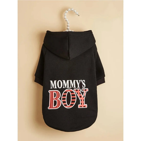 Pet Hoodie Outfit
