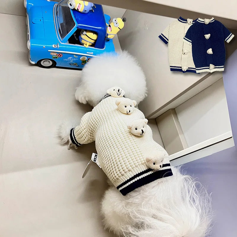 Pet Bear Sweater