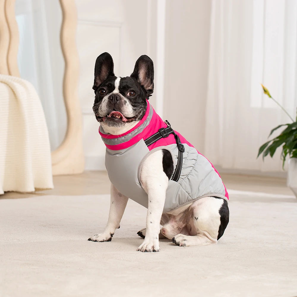 Dog Winter Coat with Harness