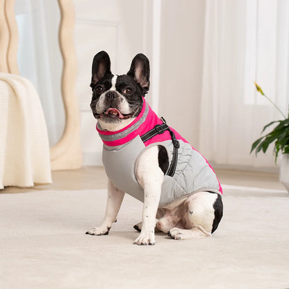 Dog Winter Coat with Harness