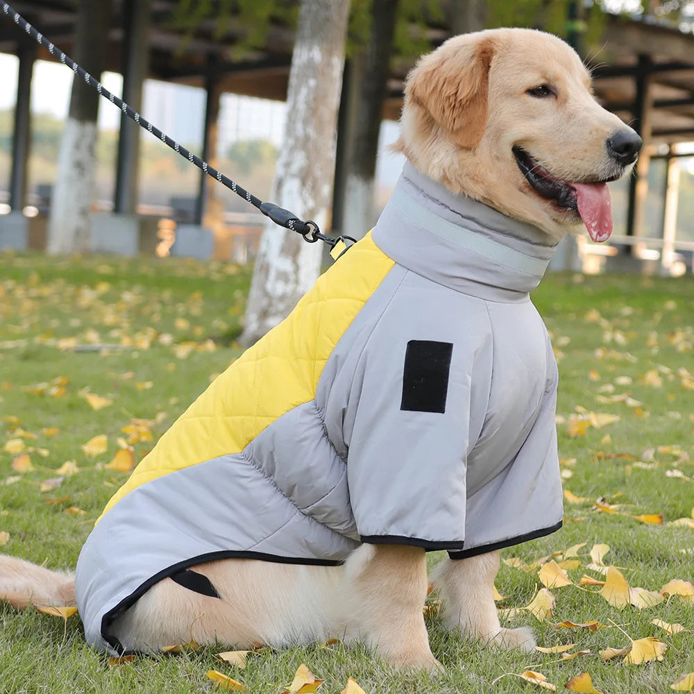 Large Dog Winter Coat
