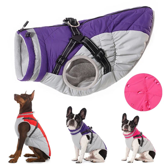 Dog Winter Coat with Harness