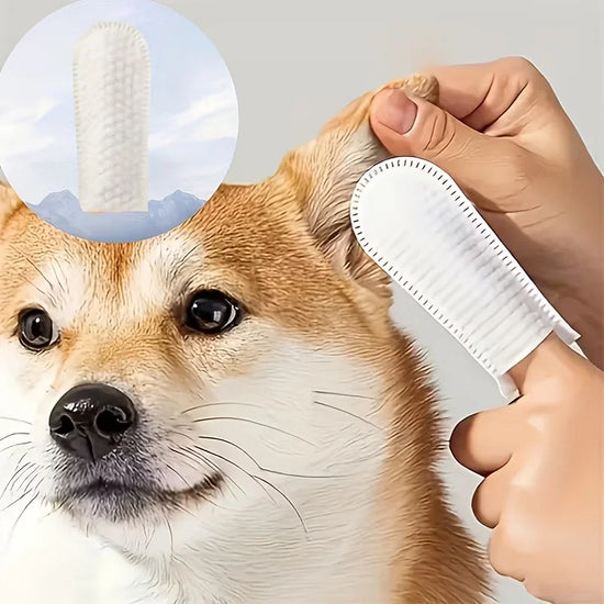 Pet Ear Cleaning Wipe