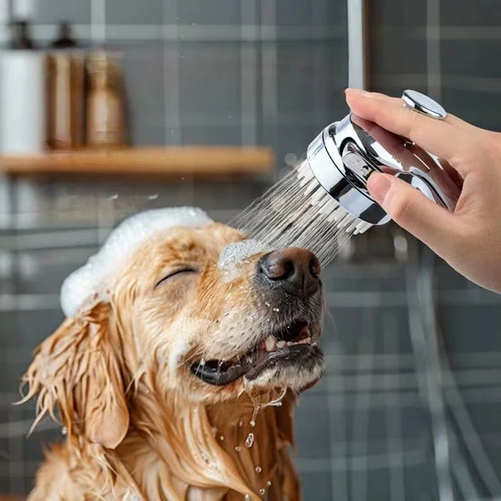 Pet Washing & Massage Shower Brush