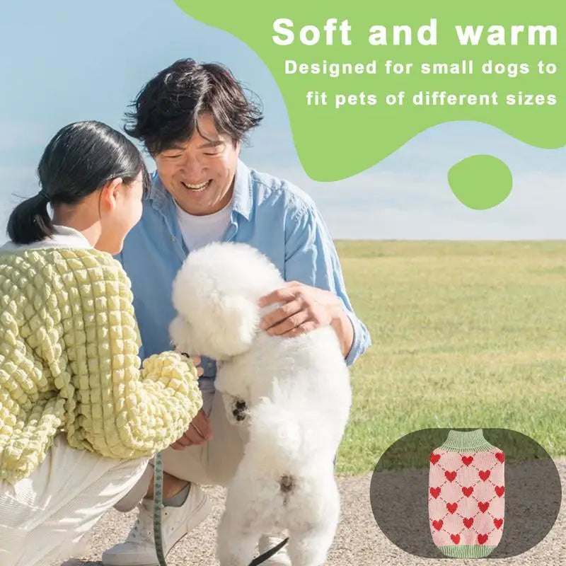 Dog Knitted Sweater