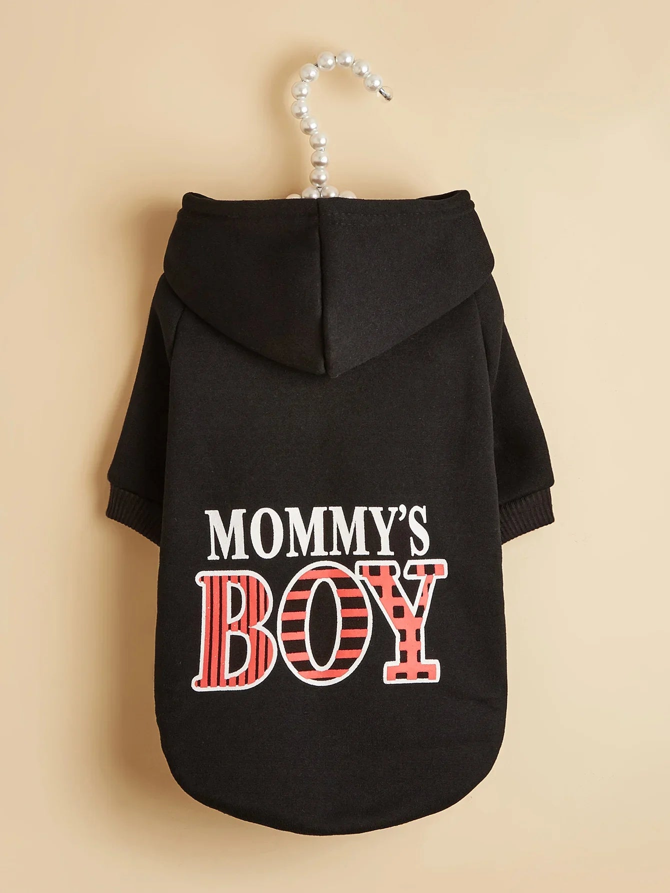 Pet Hoodie Outfit