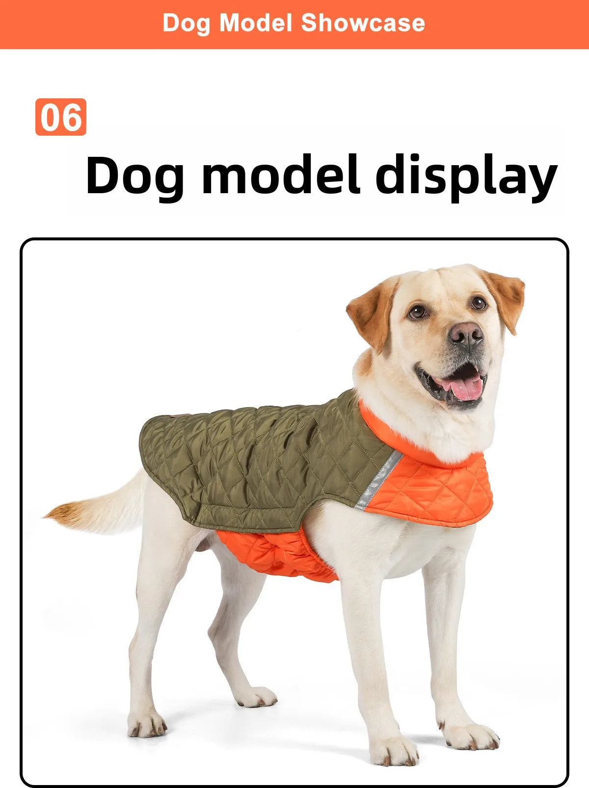 Warm Waterproof Dog Jacket