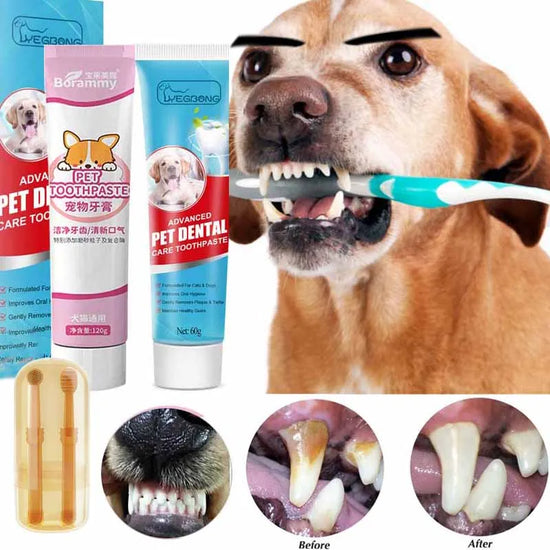 Pet Toothpaste & Oral Care Set