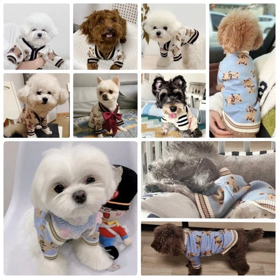 Cute Bear Print Dog Sweater