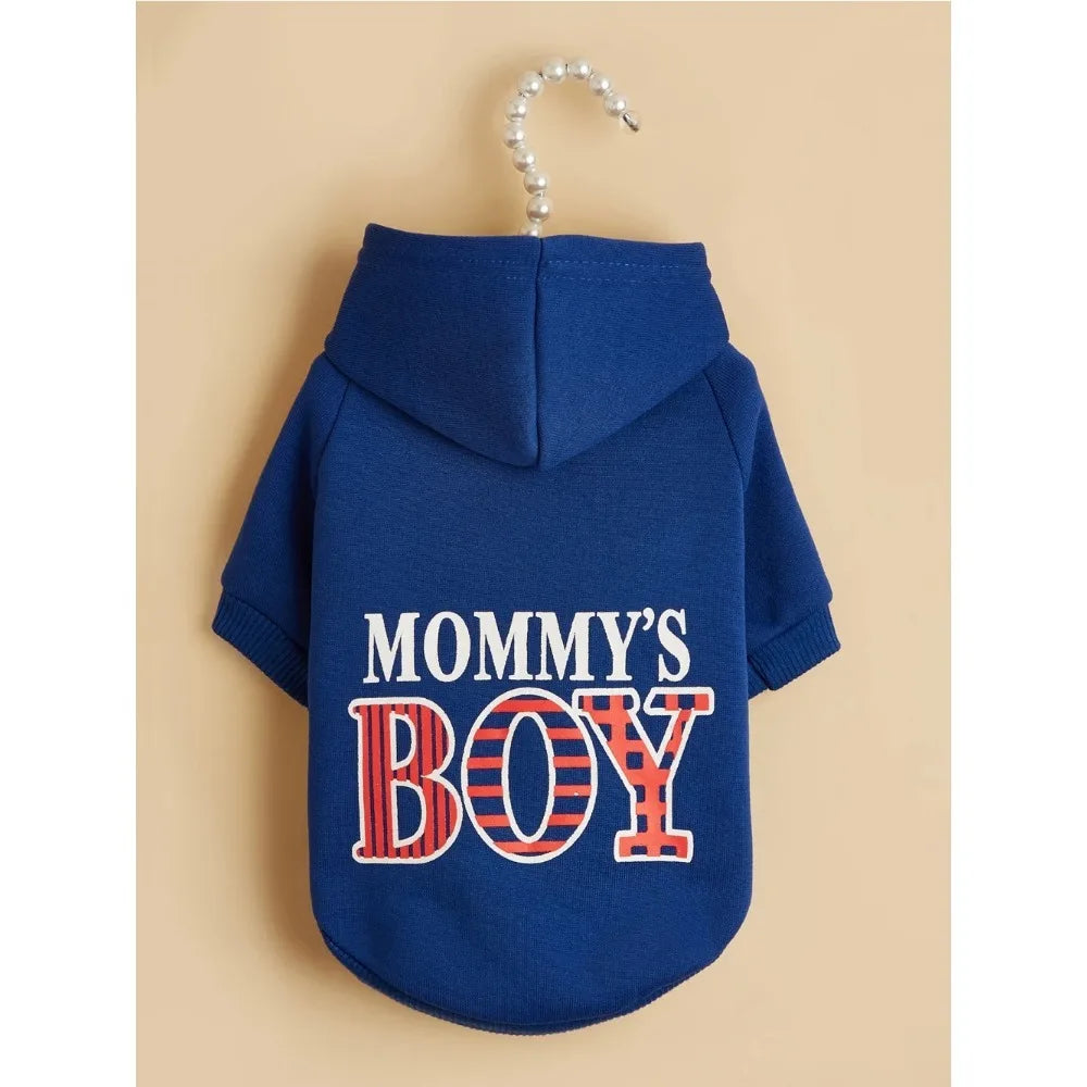Pet Hoodie Outfit