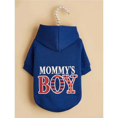 Pet Hoodie Outfit