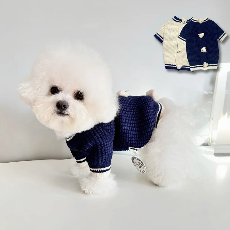 Pet Bear Sweater