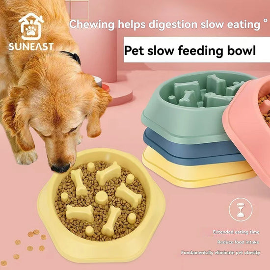 Pet Food Bowl
