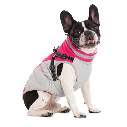 Dog Winter Coat with Harness