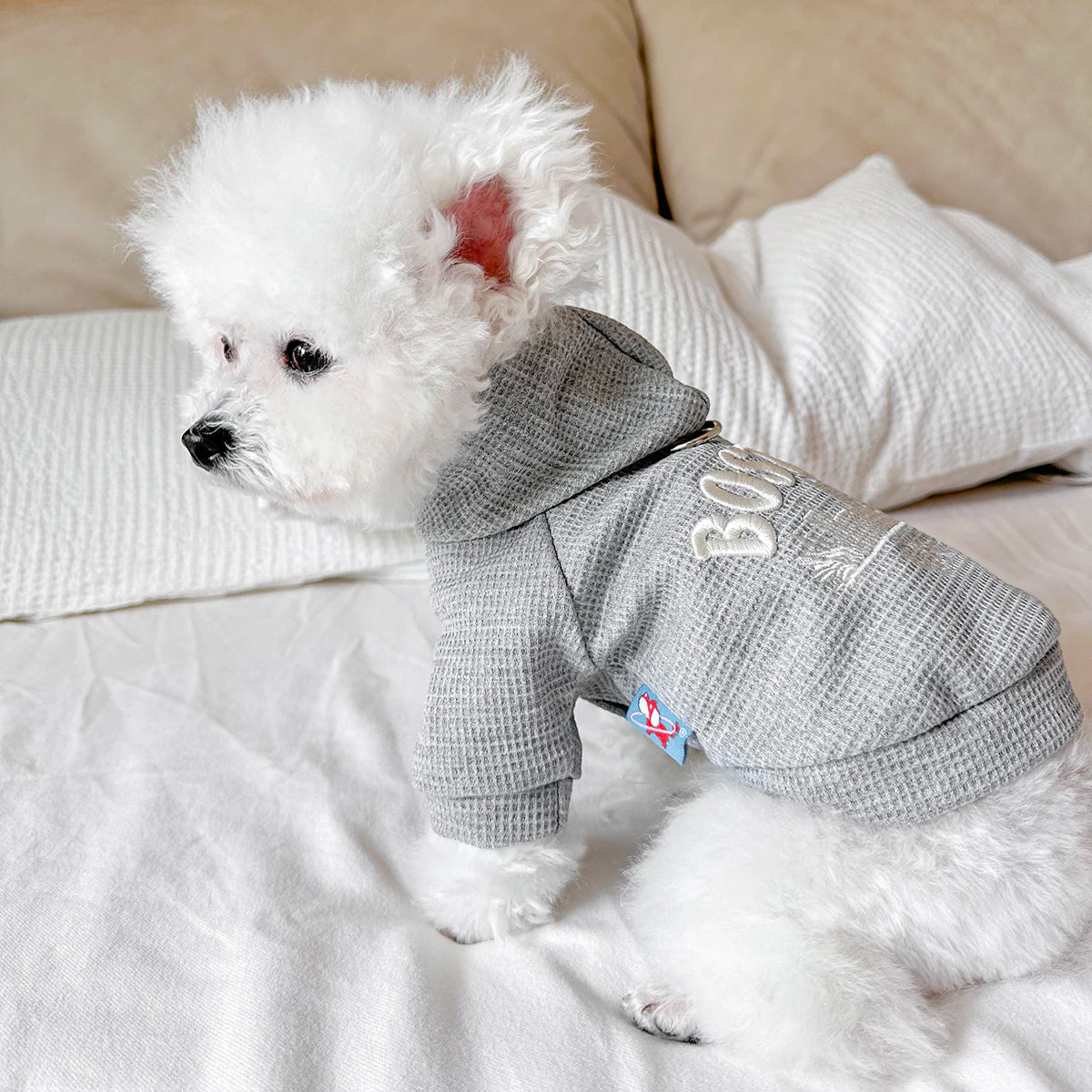 Cute Casual Pet Sweater