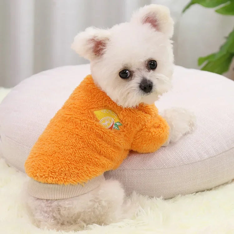 Warm Small Dog Clothing