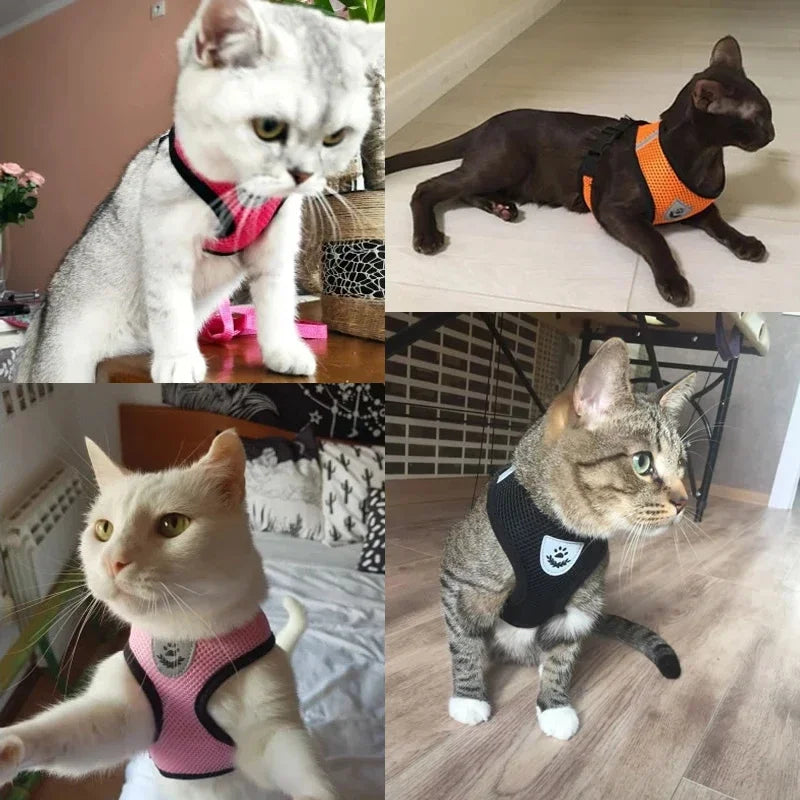 Dog Harness &amp; Leash Set
