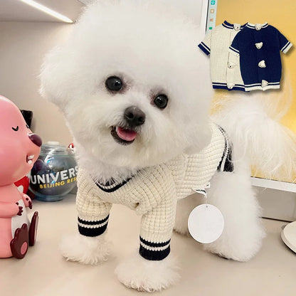 Pet Bear Sweater