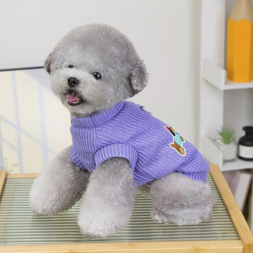 Pet Apparel Winter