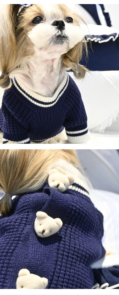 Pet Bear Sweater