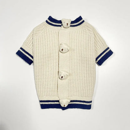 Pet Bear Sweater