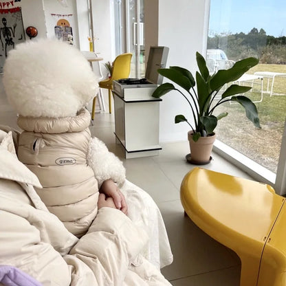 Lightweight Dog Jacket